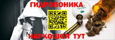 гидропоника Краснокаменск