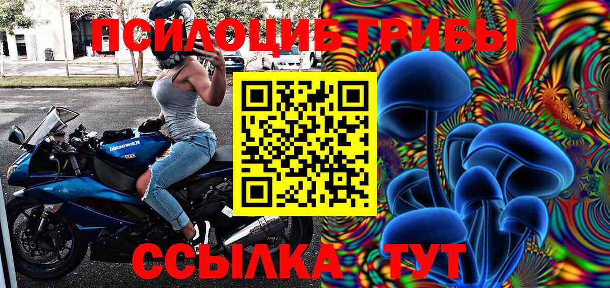 Псилоцибиновые грибы мицелий Холмск