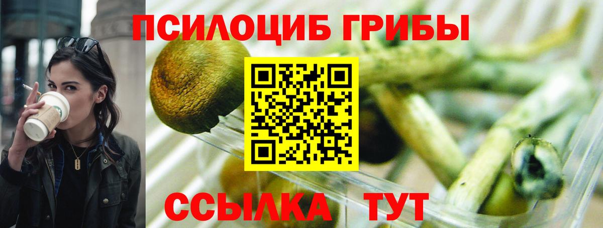 Псилоцибиновые грибы Psilocybine cubensis  Псилоцибиновые грибы прущие грибы  Холмск  Вход с VPN 